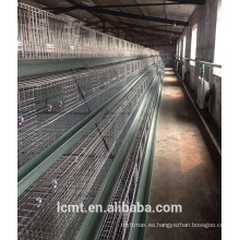 Las 4 capas superiores de la jaula de pollos de engorde enviadas a Sudáfrica